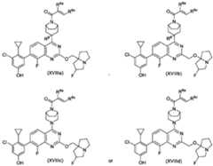 Figure imgf000052_0001