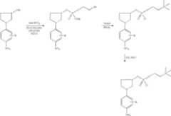 Figure US06946005-20050920-C00047