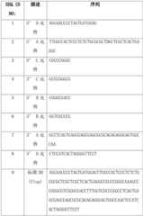 Figure BDA0002680249620000431