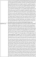 Figure BDA0002742983620000181