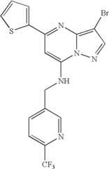 Figure US07119200-20061010-C01381