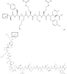 Figure imgf000022_0001