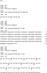 Figure imgb0090