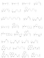 Figure 2025070979000028