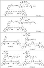 Figure BDA0003285627320001021