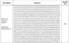 Figure imgf000192_0001