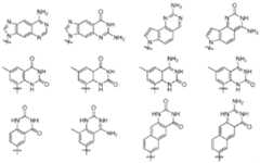 Figure imgf000027_0001