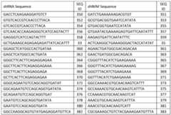 Figure imgf000041_0002
