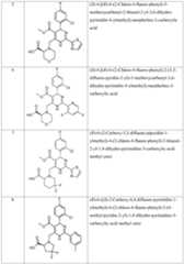 Figure imgf000021_0001