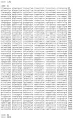 Figure IDA00002091897100661