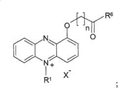 Figure BDA00003376975800331