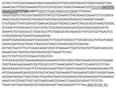 Figure 112018104931270-pct00005