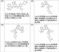 Figure FDA0000414823820000021