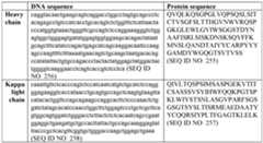 Figure imgf000061_0002
