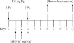 Figure US06632425-20031014-C00001