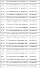 Figure imgf000043_0001