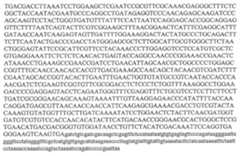 Figure 112014103048195-pat00058