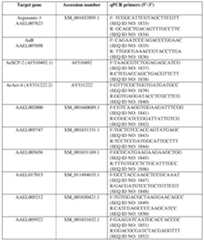 Figure imgf000117_0001