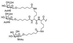 Figure 0007429103000086