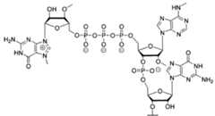 Figure imgf000096_0002