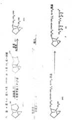 Figure 86105664_IMG43