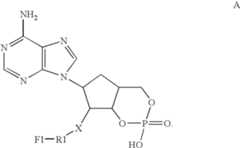 Figure US07745142-20100629-C00003
