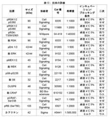 Figure 2022034068000022