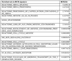 Figure imgf000091_0001