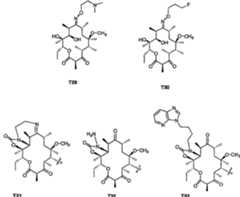 Figure A20058001353201001