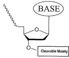 Figure imgf000448_0001