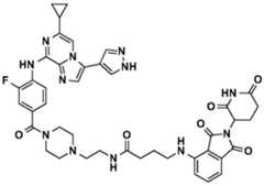 Figure BDA0002964098100001892