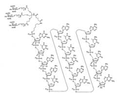 Figure 108131991-A0202-12-0051-20