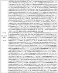 Figure imgf000204_0001