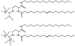 Figure imgf000034_0001