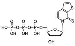 Figure 109130857-A0202-12-0275-329