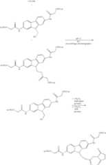 Figure US08293869-20121023-C00178