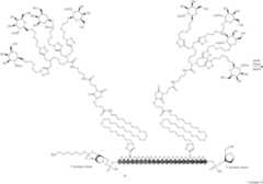 Figure US10214742-20190226-C00047