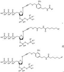 Figure BDA0003670511740003271