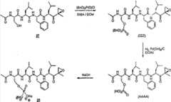 Figure BDA00002188159600841