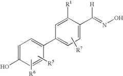 Figure US07279600-20071009-C00009