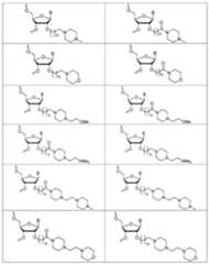 Figure imgf000035_0001