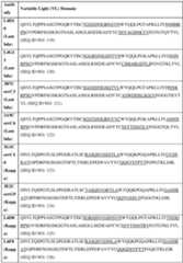 Figure imgf000016_0001