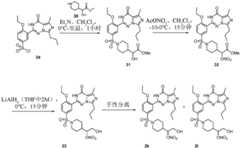 Figure BDA0003088137000000971