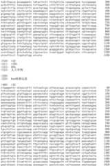 Figure IDA0002536600790001331