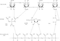 Figure US06461553-20021008-C00010