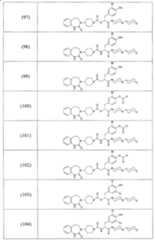 Figure A2006800095860023C1