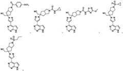 Figure FDA0003793832310000021