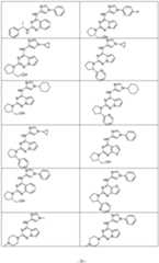 Figure imgf000027_0001