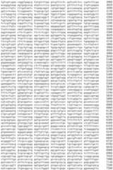 Figure IDA0002536600790000961