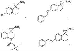 Figure FDA0002559633730000103